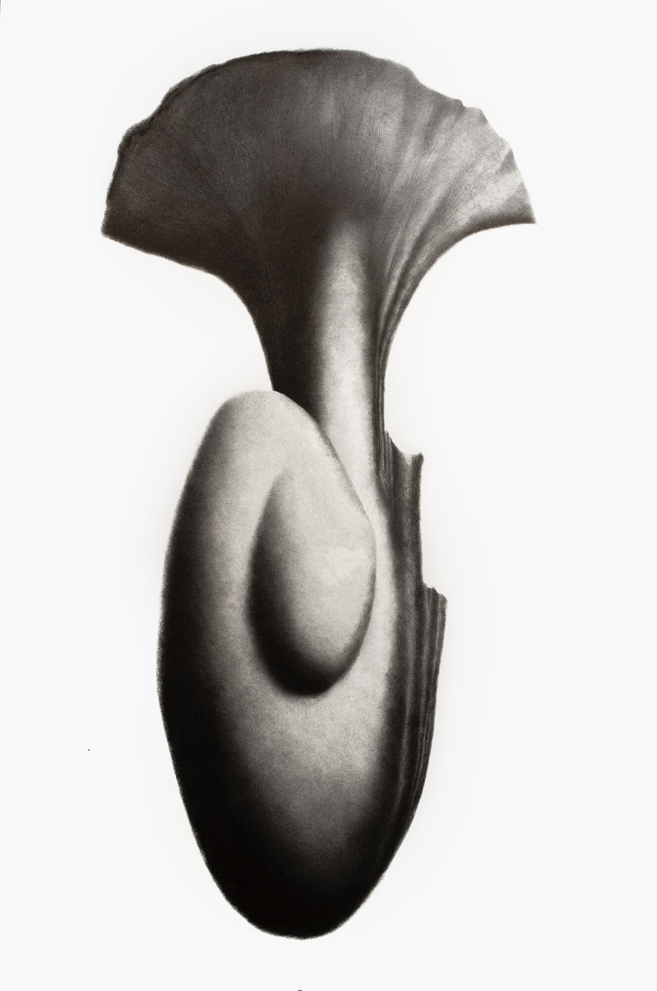 KethevaneCellard_ManiereDHabiter_LeSolEtLaMer_DSC00758_01_2500w