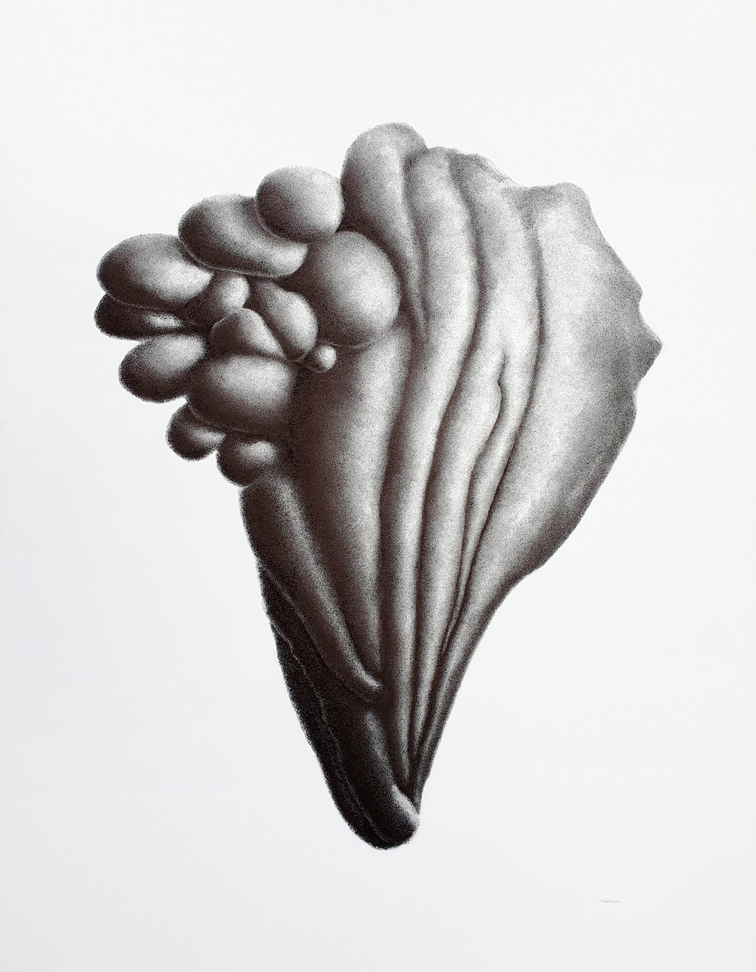 KethevaneCellard_Symbiont_20210301_110117